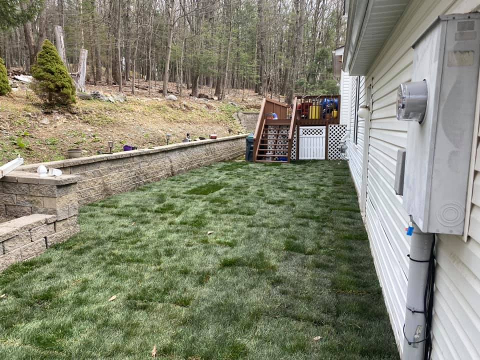 Finished front-yard landscape design